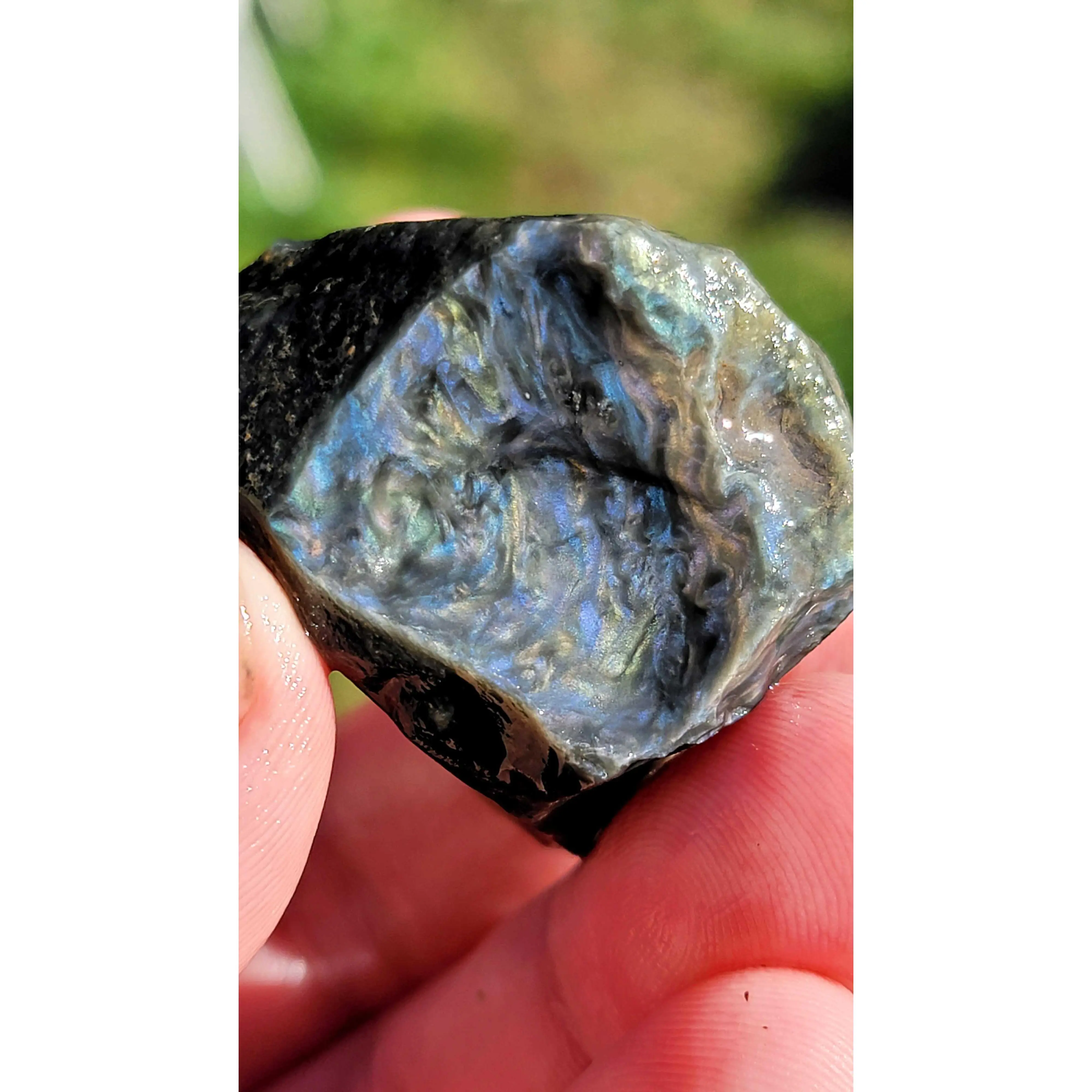 4 Pounds Random Pull RARE Mexican Velvet Obsidian Rough!  Old Stock!
