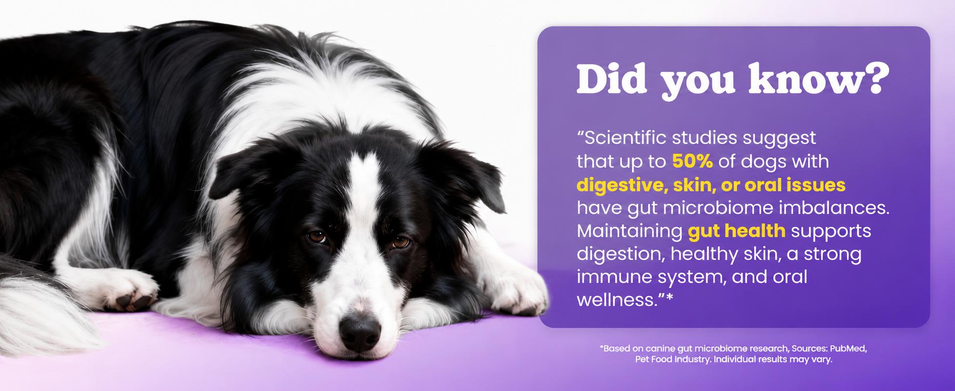 180ct Probiotics for Dogs – Probiotic and Prebiotic Soft Chews for Digestion, Gut Balance, Stool Quality & Immune Support, 4-Strain Blend with FOS, GOS & Organic Inulin, Chicken Flavor