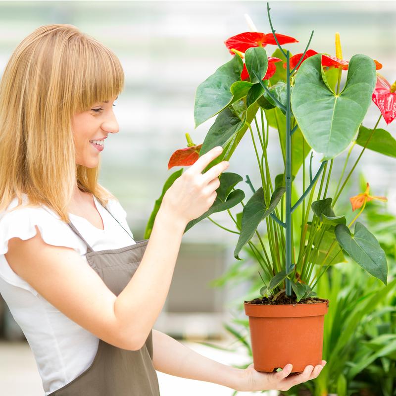 Stackable Monstera Plant Support: Garden Stakes for Climbing Plants Stem Support – Durable Plant Accessories for Indoor Outdoor Potted Plants, Pothos, Vine, Flower