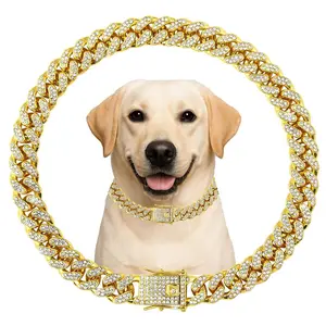 Gold Cuban Link Dog Collar 10in – Bling Diamond Pet Chain with Safety Lock for Small Medium Large Dogs