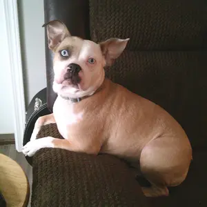 Product Review of Digital Camera, 1080P & 44MP, 32G Memory Card, 16X Digital Zoom, Compact & Portable Digital Camera Photos For Teens & Beginners, Gift #TOP PICKS,Boys & Men gifts from i**t