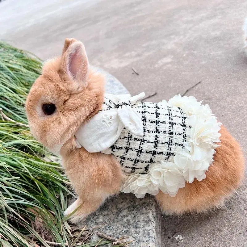 Chemical-Free Outdoor Wear Harness and Leash Set, Fashion Versatile-Use Pet Outfit for Small Animals Rabbits/Chinchillas