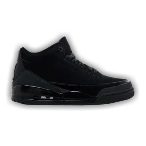 Air Jordan 3 Retro 'Black Cat' 2025 - Used