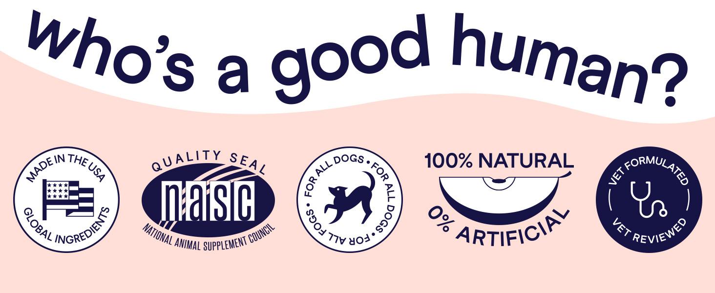 FINN Bone Broth Plus Superfood Meal Topper for Dogs – Joint & Mobility Support Packed with Collagen & Amino Acids – Only 6 Ingredients | Powdered Meal Topper Supplement for Dogs