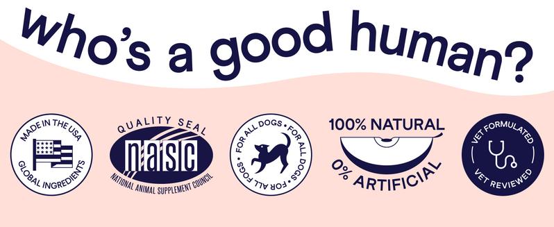 FINN Bone Broth Plus Superfood Meal Topper for Dogs – Joint & Mobility Support Packed with Collagen & Amino Acids – Only 6 Ingredients | Powdered Meal Topper Supplement for Dogs