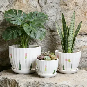 3-Pack Spring Bud Ceramic Flower Pot Set 3 Pcs with Saucer, Cream White Garden Pot Planter for Plants, Small Medium Large Pots for Monstera Snake Plant Succulents, Indoor Home Decor