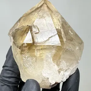 3.0” Rare Natural Alligator Citrine Specimen - Elestial Citrine & Smoky Quartz