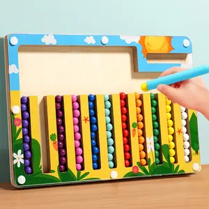 Montessori Magnetic Color Sorting Board Toy Set, Early Education Stem Learning, Hand-Eye Coordination, Focus Training, Christmas Gift, Visual Learning Tools