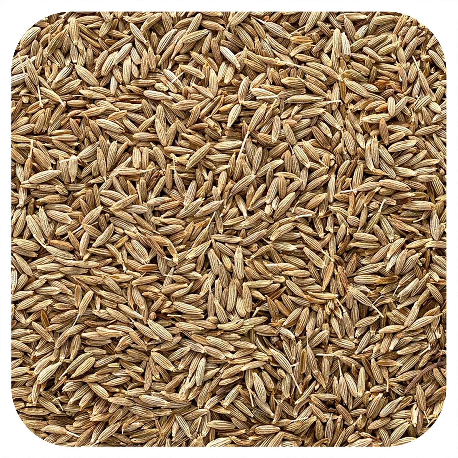 Frontier Co-op Organic Whole Cumin Seed, 16 oz (453 g) Frontier Co-op Organic Whole Cumin Seed, 16 oz (453 g)