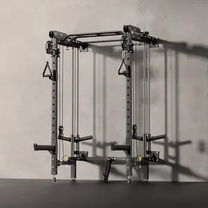 F35 All-In-One Home Gym Wall-Mount Folding Power Rack