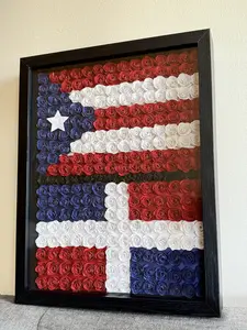 Puerto Rican- Dominican Shadow Box