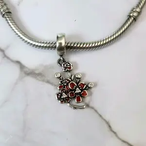 Chams 925 Italy Sterling Silver for Pandora bracelet