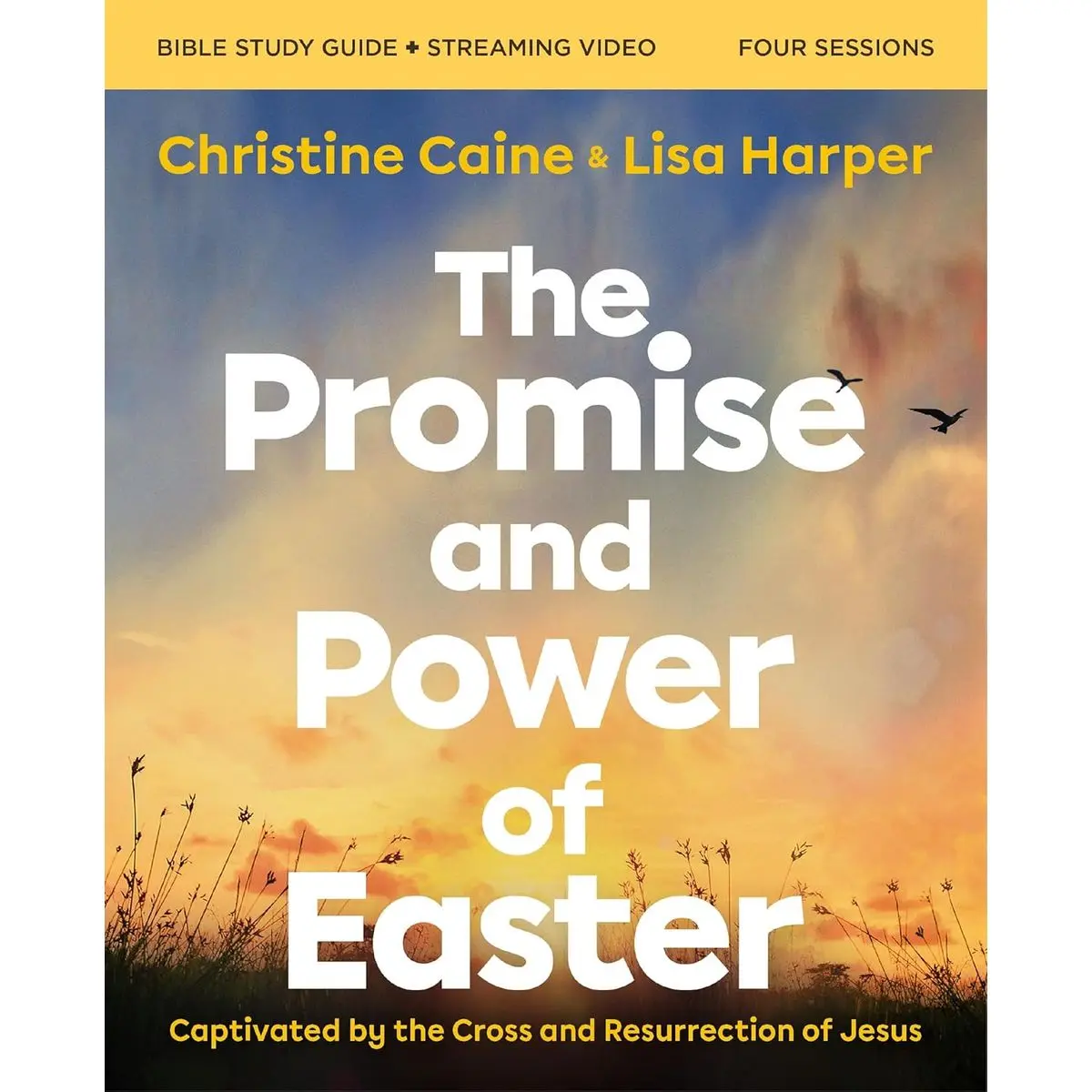 The Promise and Power of Easter Bible Study Guide plus Streaming Video: Captivated by the Cross and Resurrection of Jesus Paperback – January 7, 2025