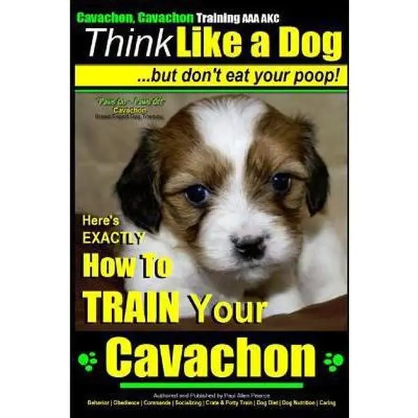 USED Book - Cavachon, Cavachon Training AAA AKC Think Like a Dog, But Don't Eat Your Poop!: Here's EXACTLY How To TRAIN Your Cavachon by Pearce, Paul Allen (Paperback) - english