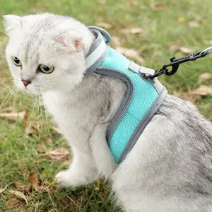 Cat Leash Outdoor Chest Harness Anti-Lost Dog Small Dogs Escape Proof Vest Pet Supplies, Durable Cat & Puppy Walking Gear