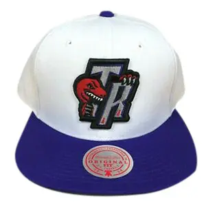 Mitchell & Ness White/Purple NBA Toronto Raptors HWC Core Basic Snapback