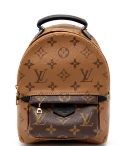 Pre-owned Louis Vuitton pvc+cowhide Backpacks Ebene Reverse Monogram Coated Canvas Mini Palm Springs Backpack 4000024832300