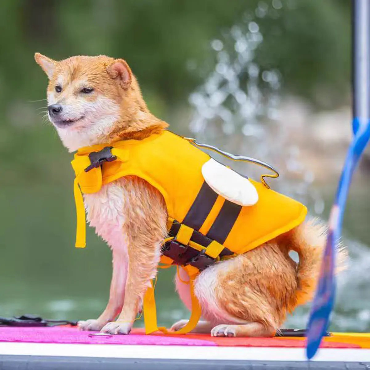 Dog Floaties Adjustable Dog Flotation Swim Vest Enhanced Buoyancy Summer Dog Sailboats Surfing Vest