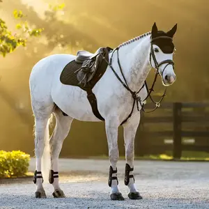 IT08948 LeMieux Brilliance Classic Close Contact Square Saddle Pad - Black Large