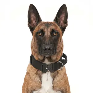 Heavy Duty Tactical Dog Collar with Handle No Pull K9 Training Gear Quick Release Metal Buckle Adjustable Thick Nylon for Medium Large Dogs