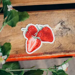 Fresh Picked Strawberry Sticker