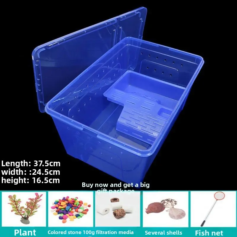 Extra-large blue transparent turtle-shaped box (co