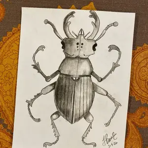 Male stag beetle 8  x 10, charcoal