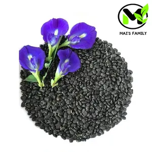 Butterfly Pea Seeds Clitoria Ternatea Organic Warm Season Planting Guide Easy Grow Blue Flowers by Mai's Family