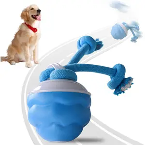Power Tail Dog Toy, Upgrade Smart Interactive Dog Toys Ball, Valentine Crads, Squeaky Toy Electric Automatic Rolling Moving Pet Toy Balls with Rope for Cats and Medium Small Dogs Puppy (Blue), Pet accessories, Cute pet toys