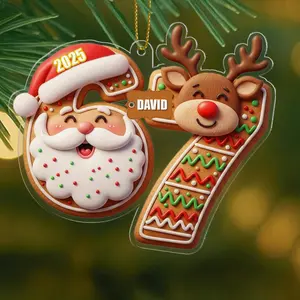 Acrylic Irregular 2D Multi-Size Flat Ornaments, 6-7 Funny Meme Christmas Decorations, Hanging Room Accent, Viral Gen Alpha Slang Gift for Teen Boys, 2025 Trendy Festive Piece