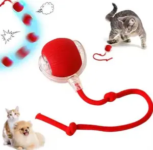 USB Rechargeable 3-1 Electric Cat Toy with 360° Rotating Motion and Long Tail Pattern for Feline Fun