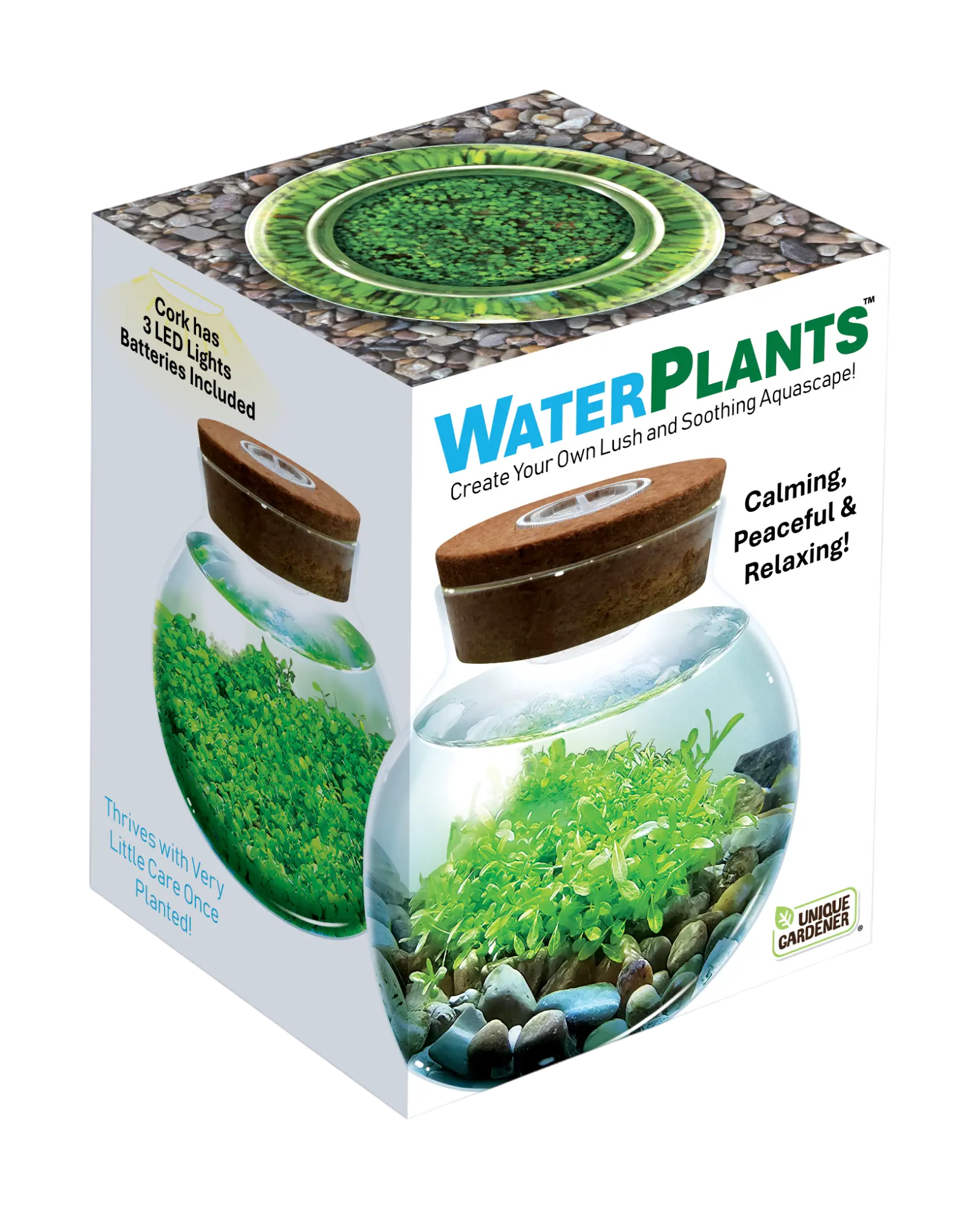 WaterPlants- Grow Lush Aquatic Plants from Seed! Thrives With Minimal Care
