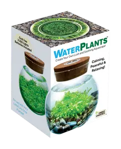 WaterPlants- Grow Lush Aquatic Plants from Seed! Thrives With Minimal Care
