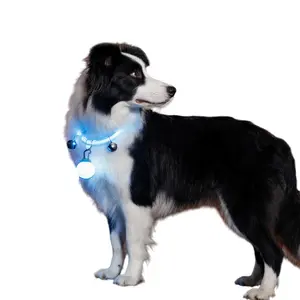 Rechargeable LED Dog Collar with Bell & Airtag Holder - Waterproof Light Up Safety Collar for Night Walks | Anti-Lost Glowing Necklace for Small/Medium/Large Dogs & Cats