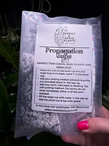 Propagation Cup - Corm Cup with Potting Medium