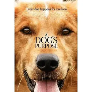A Dog's Purpose  [DVD Video Disc] Slipsleeve Packaging, Snap Case