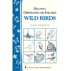 Helping Orphaned or Injured Wild Birds by Diane Scarazzini [Paperback Book]