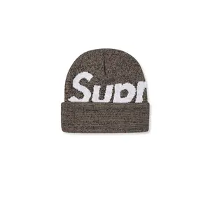Big Logo Beanie "FW21" SU11018