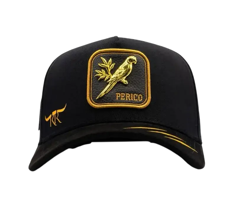 BIGG BOSS THE KING RANCH GOLD PERICO SNAPBACK HAT TKRPERICO BKGLD