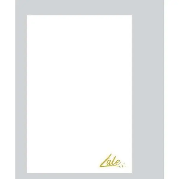 Lale Post Surgery Recovery Foam, Compression Belt Support for Liposuction, Tummy Tuck, BBL