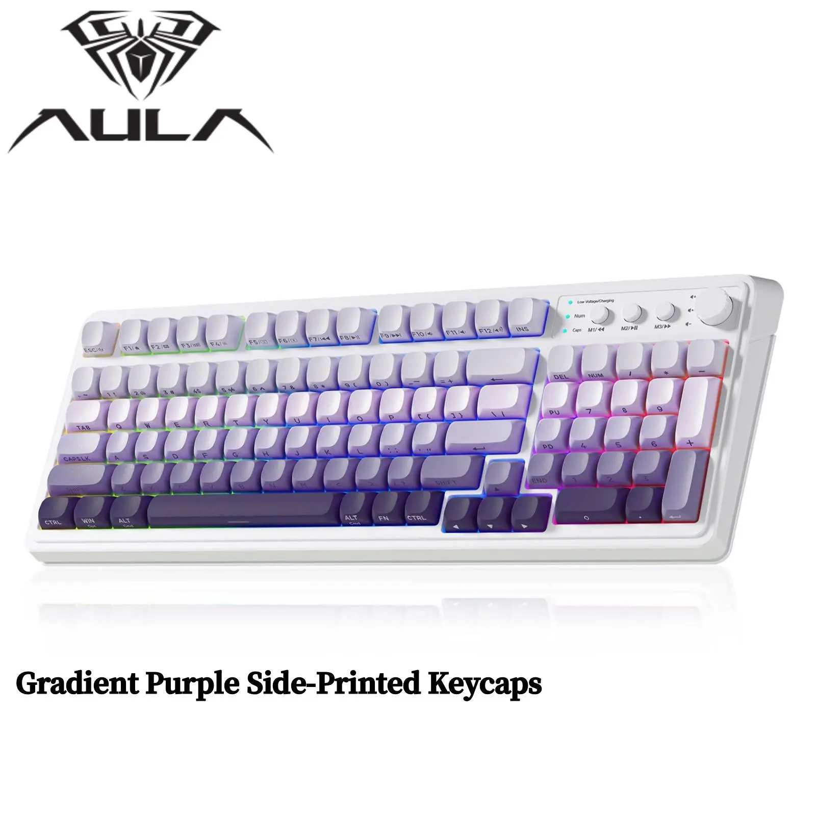 Enchanted Plum(Gradient Purple)GTIN