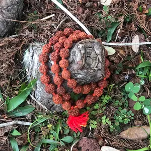 5 Mukhi Rudraksha Mala Necklace (54+1 beads with red tassel)