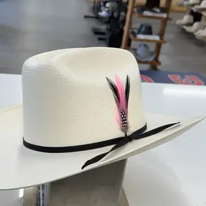 STETSON HAT FEATHER 2 Pack