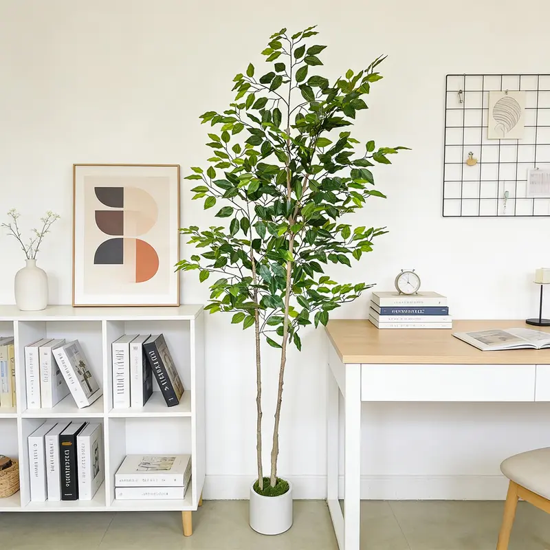 indoor plants buy online The Pet-Friendly Bundle Houseplants
