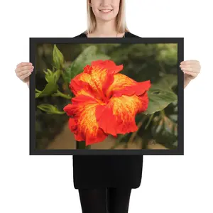 Hibiscus Framed poster