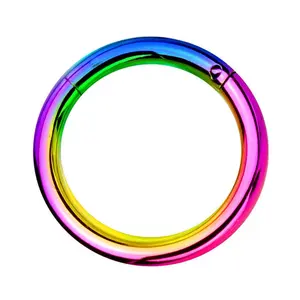 Rainbow PVD Hinged Steel Segment Hoop Ring