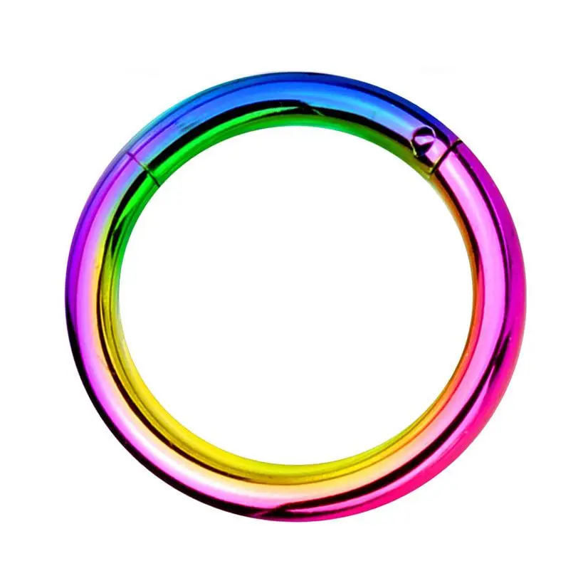 Rainbow PVD Hinged Steel Segment Hoop Ring