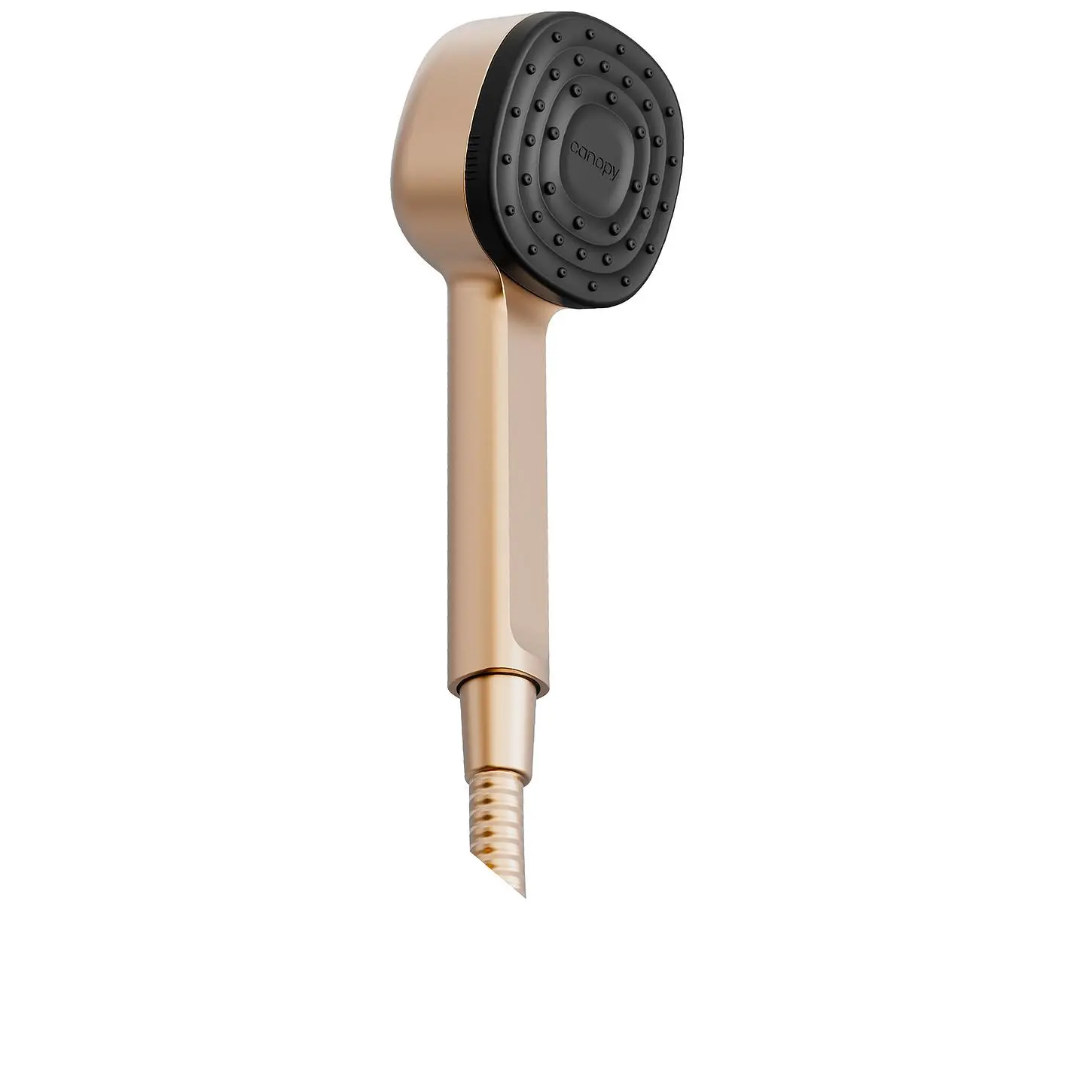 Canopy Handheld Filtered Showerhead in Brass