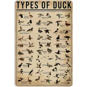 Duck Knowledge Metal Poster Type Of Duck Metal Tin Sign Classic Vintage Design Durable Aluminum Intricate Details Versatile Use 16x12 Inch