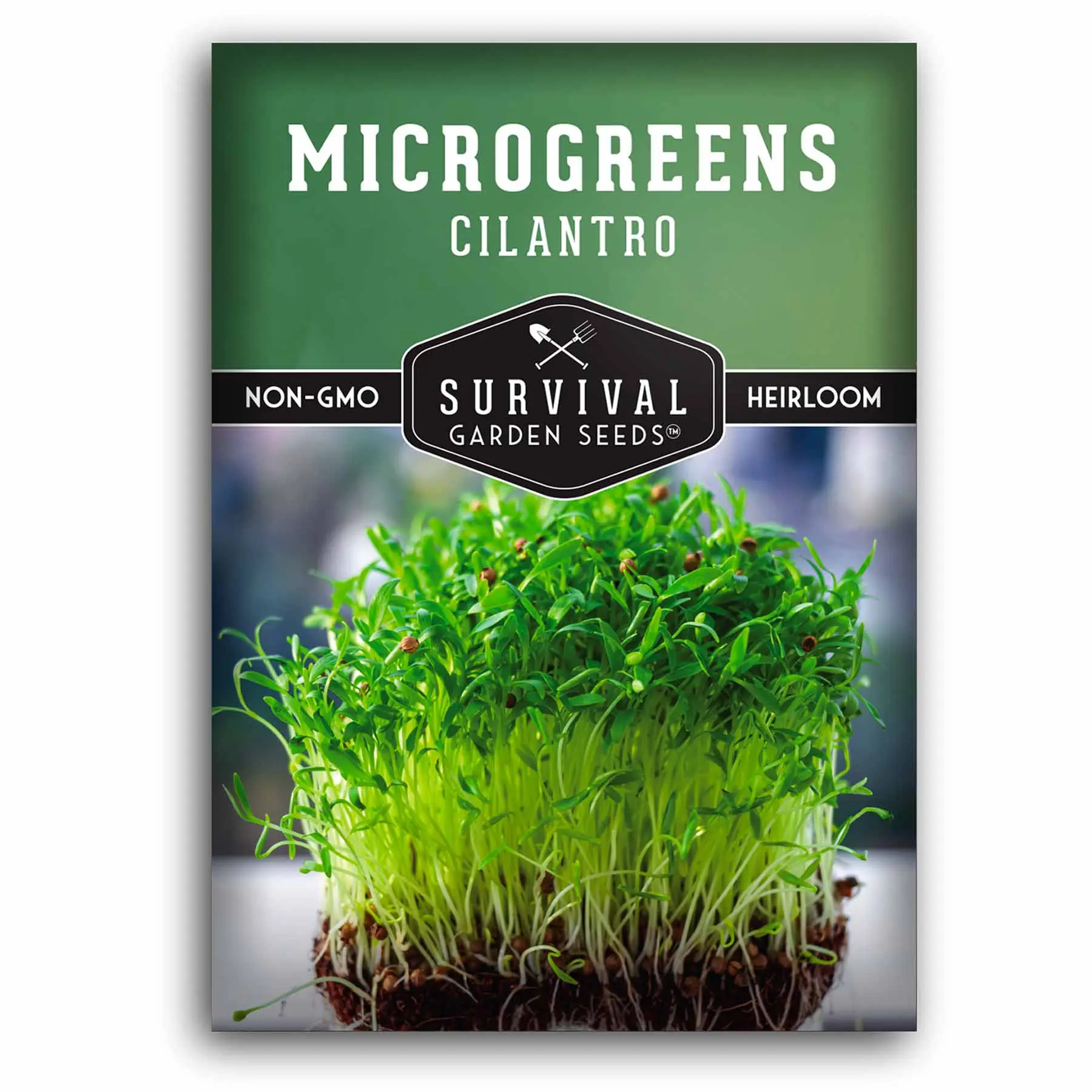 Cilantro Microgreen Seeds Cilantro Microgreen Seeds